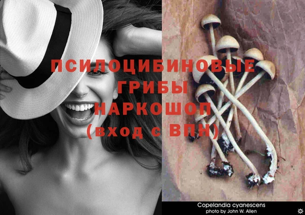 прущий лед Алзамай