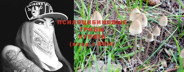 экстази Алексин