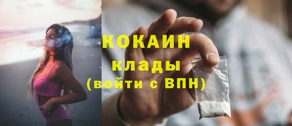прущий лед Алзамай