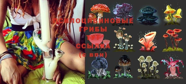таблы Арсеньев