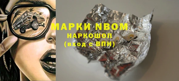прущий лед Алзамай