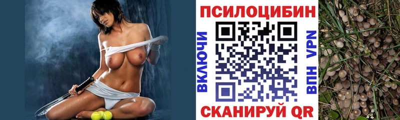 OMG вход  Печоры  нарко площадка клад  Псилоцибиновые грибы Psilocybine cubensis 